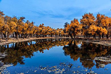 开发者：3A《波斯王子》不可能和《刺客信条》并存